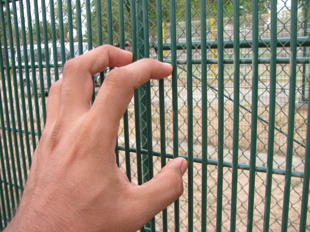 A green 3510 mesh fence with small mesh size is anti-climbing.