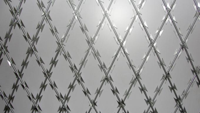high quality razor wire mesh for sale