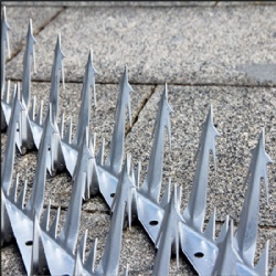 Wall security spikes