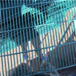 358 Welded Mesh Security Fencing: for Maximum Security