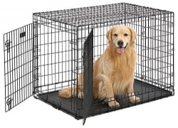 dog cage